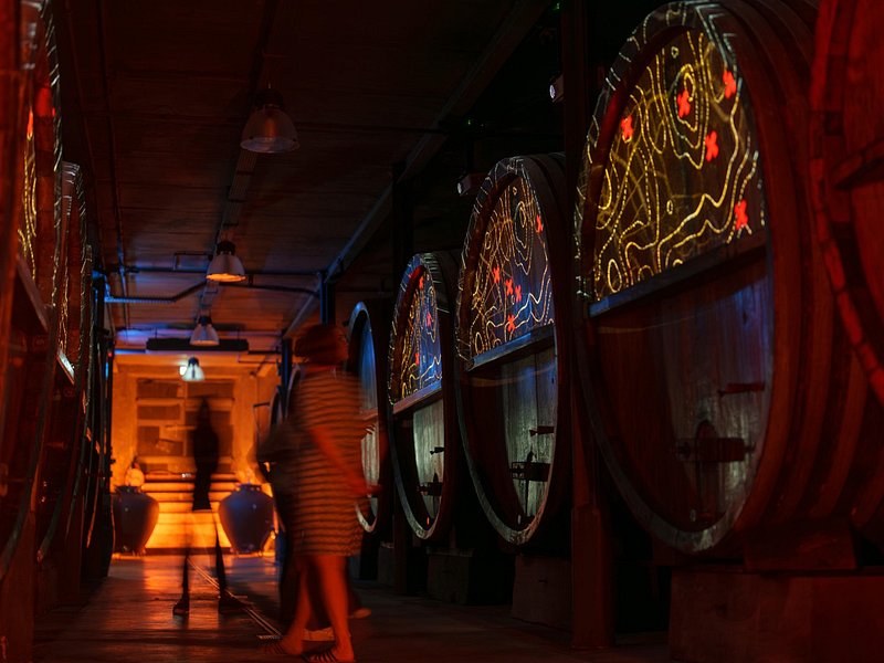A corridor of upright casks in a cellar, lit from the far end