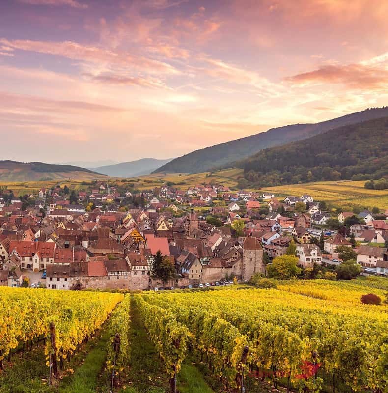From Colmar: 4 Wonders of Alsace Day Tour