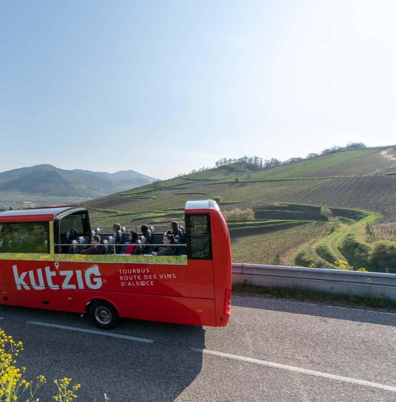 Route des Vins d'Alsace: Hop-On Hop-Off Convertible Bus Tour