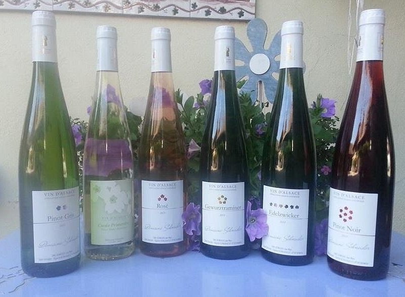 Six Alsace bottles lined up on a counter, the whites through to a red