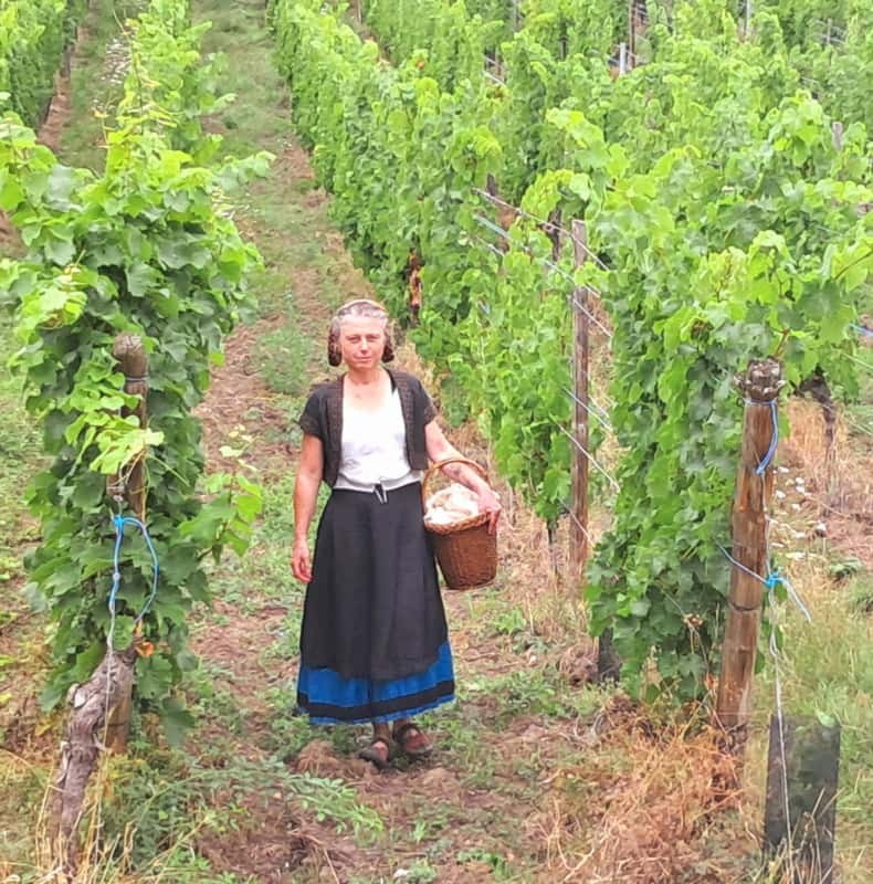 The true heart of Alsace in Riquewihr with optional wine tasting