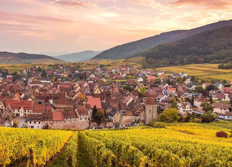 A village of red roofs packed below the hills, its vineyard turning gold at dusk